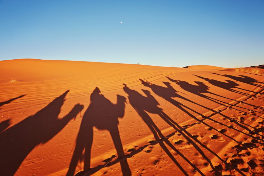 10-14 DICIEMBRE - MOROCCO & SAHARA XPERIENCE - Imagen 4